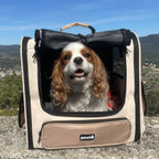 Hardtop Widened Pet Carrier Backpack Dog Backpack