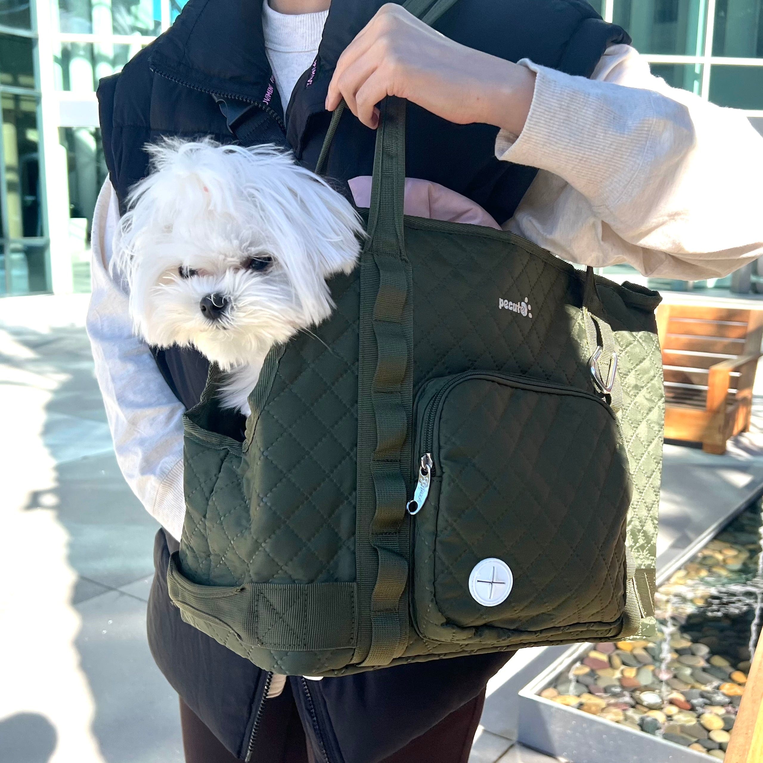 Dog Purse Carrier Lightweight for Small Dogs Puppies Tote Bag Dog Carrier
