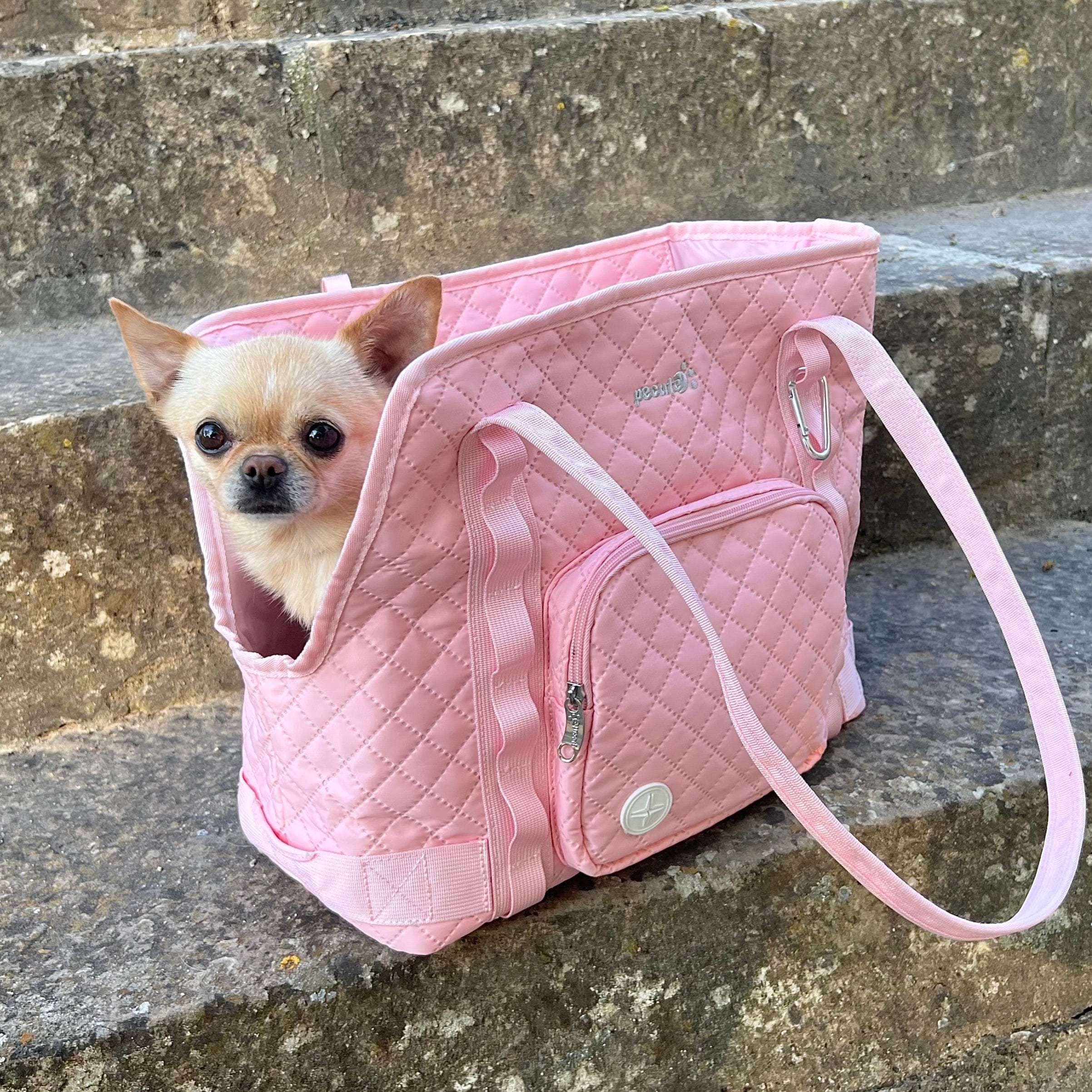 Dog Purse Carrier Lightweight for Small Dogs Puppies Tote Bag Dog Carrier