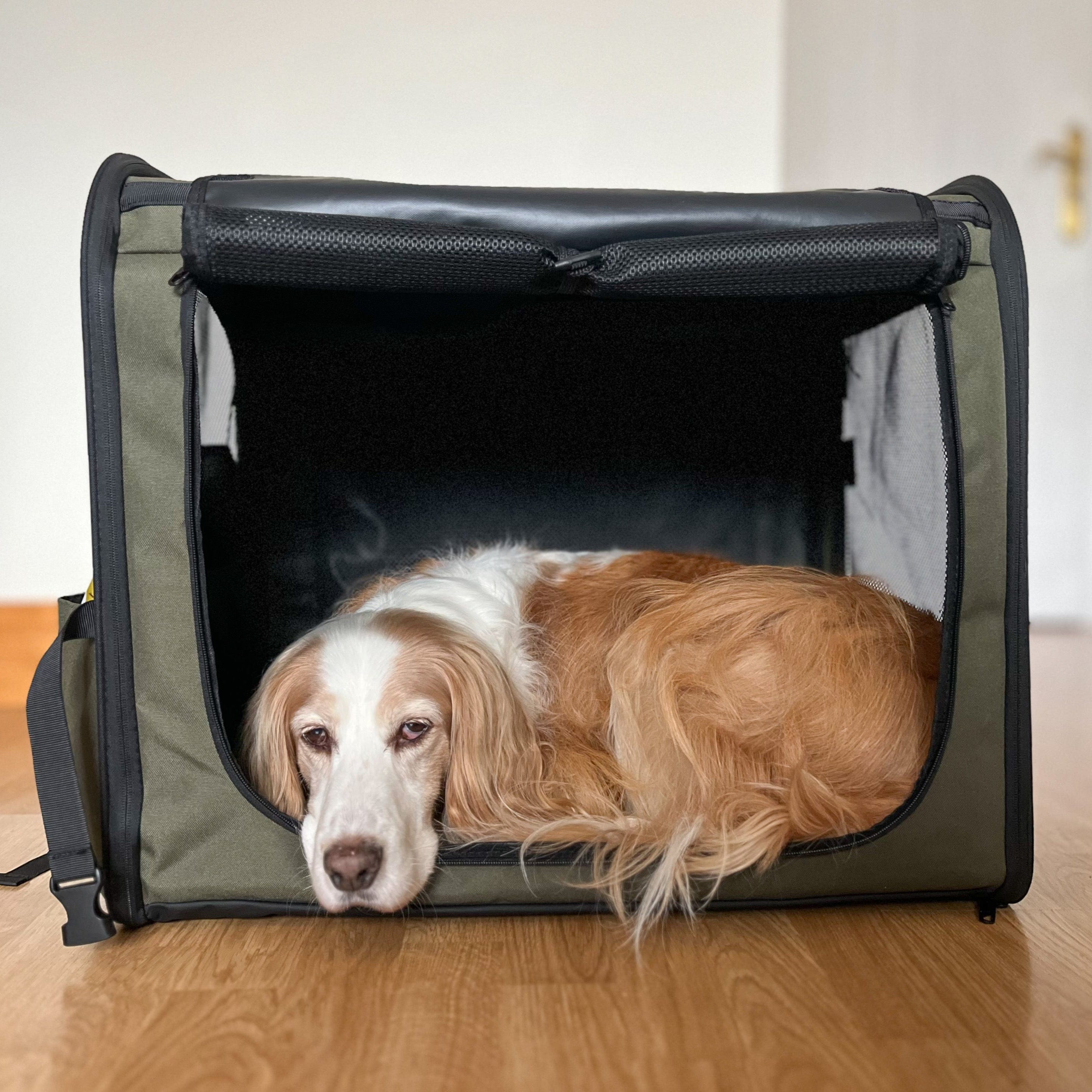 Portable Dog Car Carrier Crate Transportation Carrier Light Weight