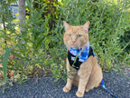 “The Groovy Cat” Leash