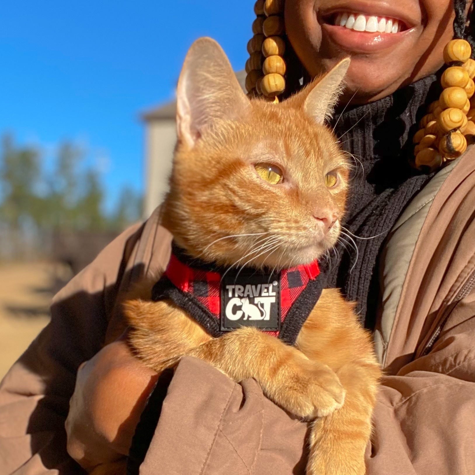 "The True Adventurer" Reflective Cat & Kitten Harness and Leash