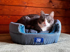 "The Fat Cat" Cat Backpack & Meowbile Home Bundle
