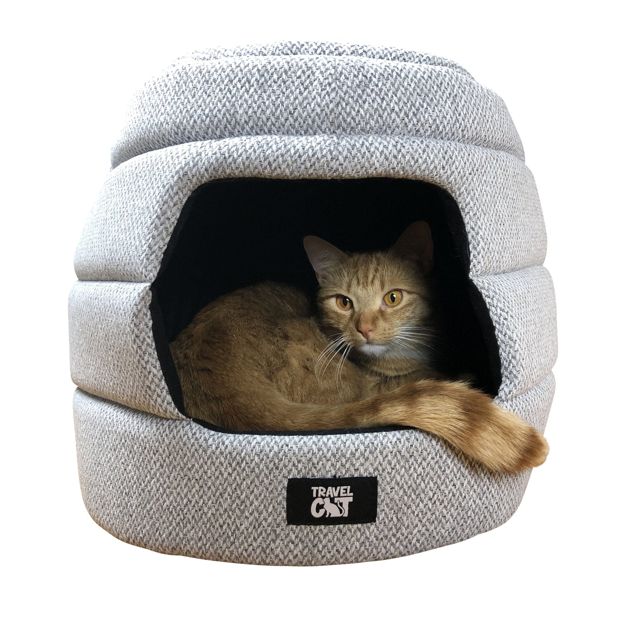 "The Fat Cat" Cat Backpack & Meowbile Home Bundle
