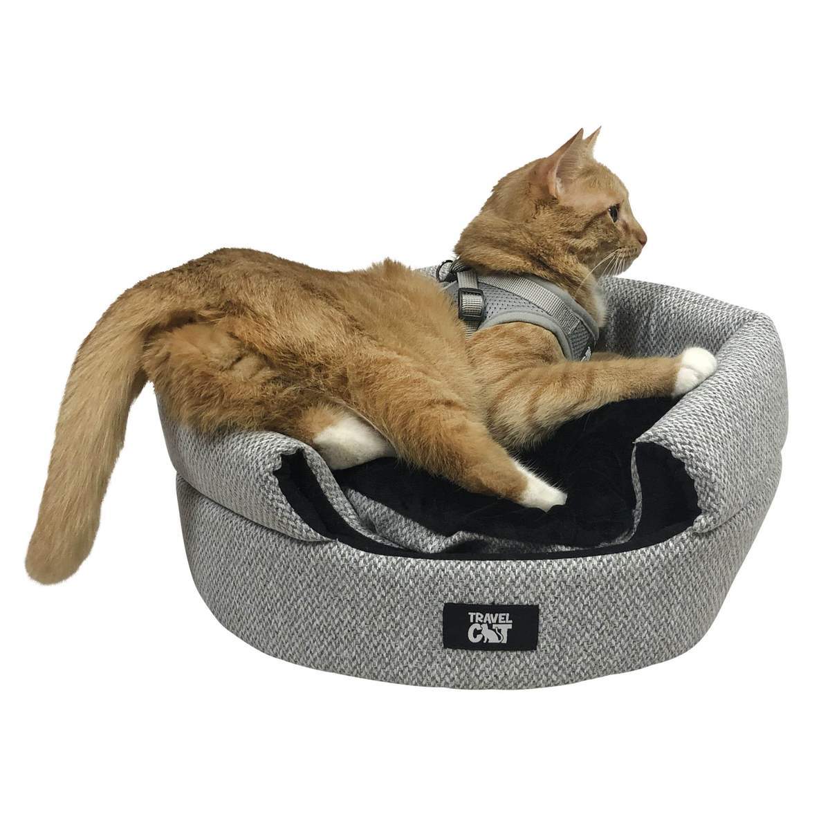 "The Fat Cat" Cat Backpack & Meowbile Home Bundle