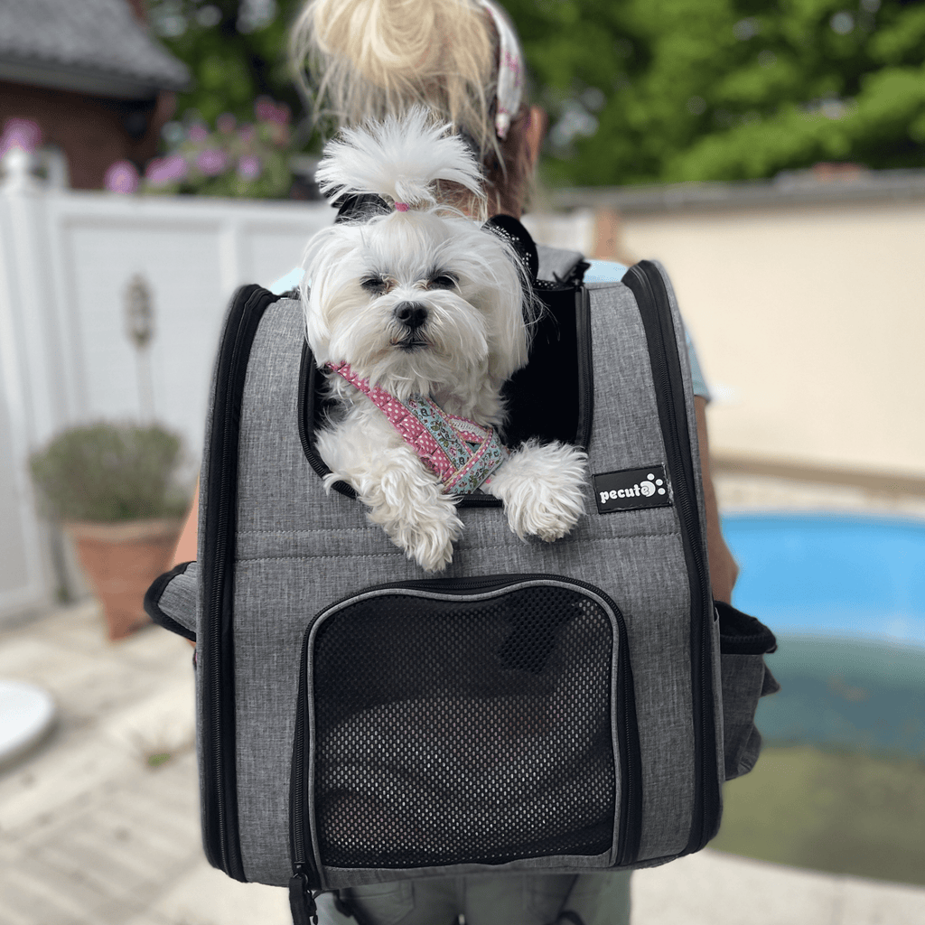 Cat Carrier Dog Backpack (Grey)