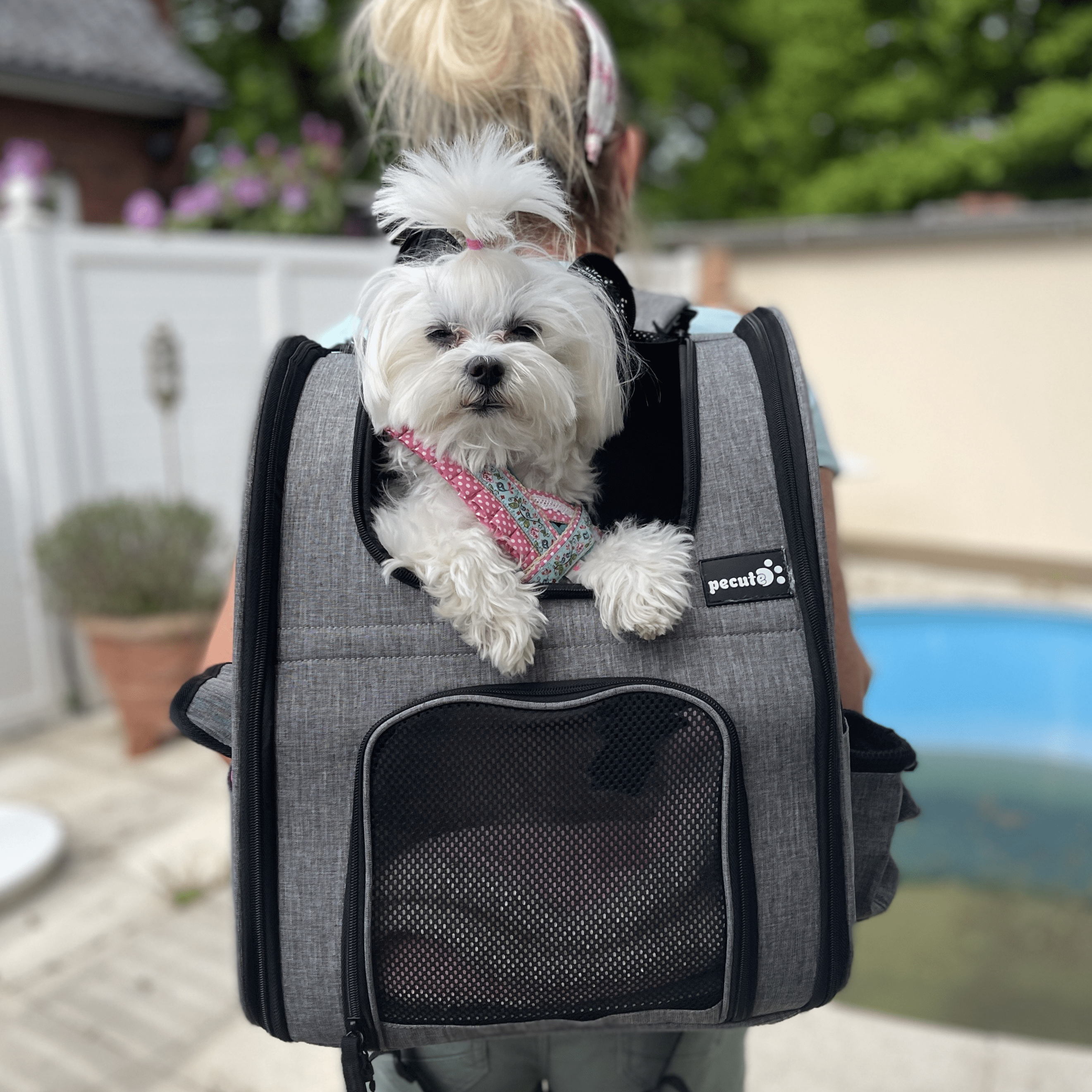 Cat Carrier Dog Backpack (Grey)