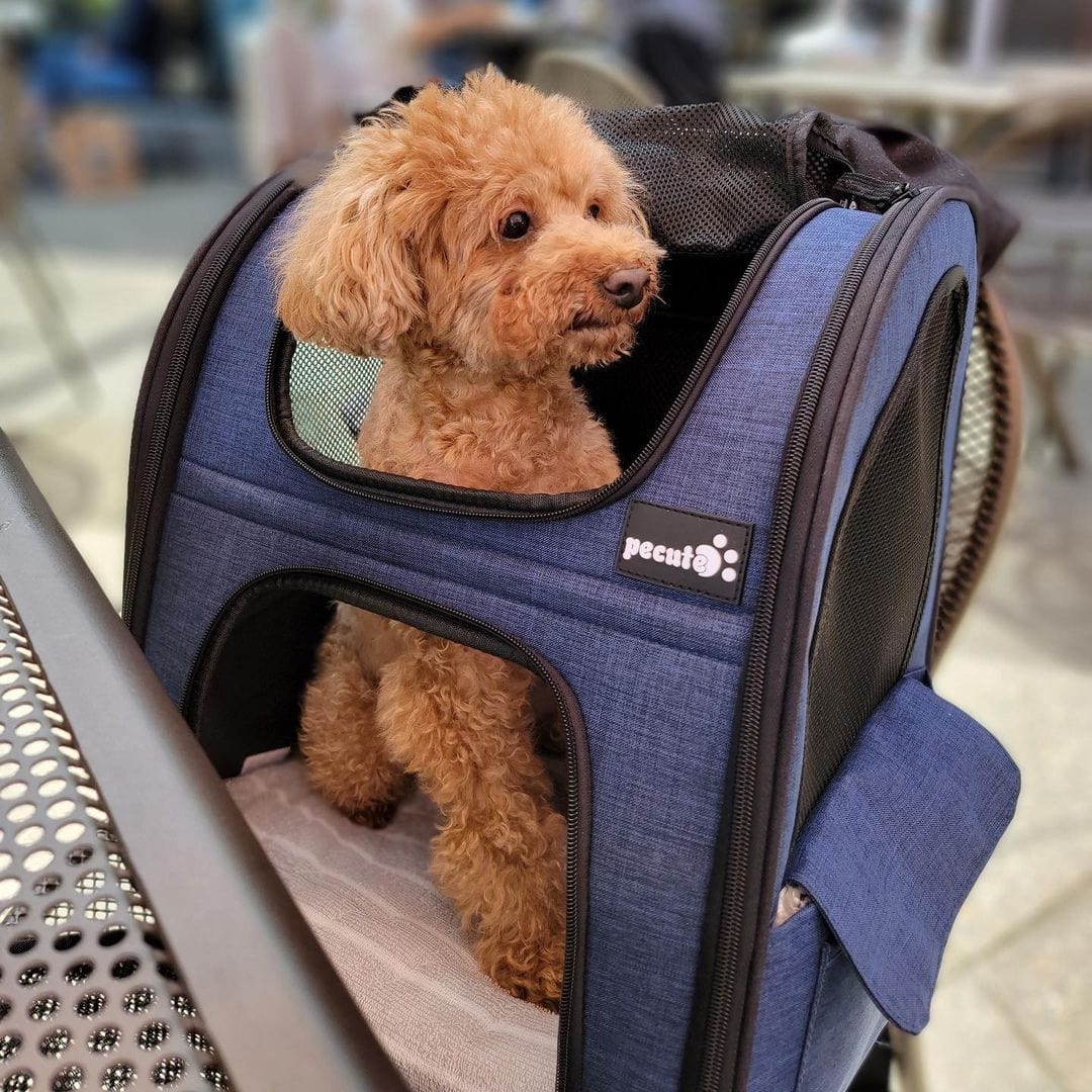 Cat Carrier Dog Backpack Expandable (Blue)