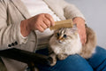 test link