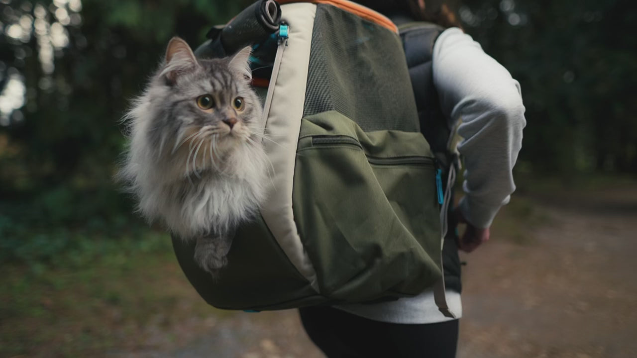"The Navigator Earth" Cat Backpack & "The True Adventurer" Harness and Leash Set Bundle