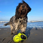 8m/26ft Dog Lead Retractable Dog Leash with Poo Bag Holder