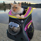 Stray x Travel Cat Backpack - Limited-Edition