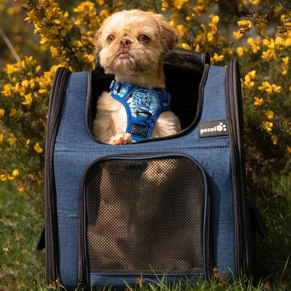 Cat Carrier Dog Backpack Expandable (Blue)