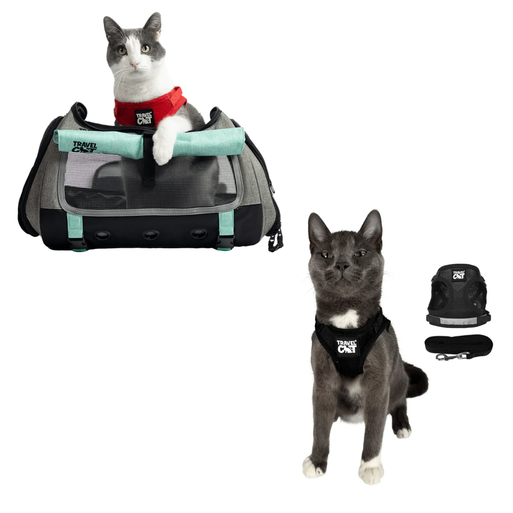 Build Your Own Cat Backpack and Harness Bundle