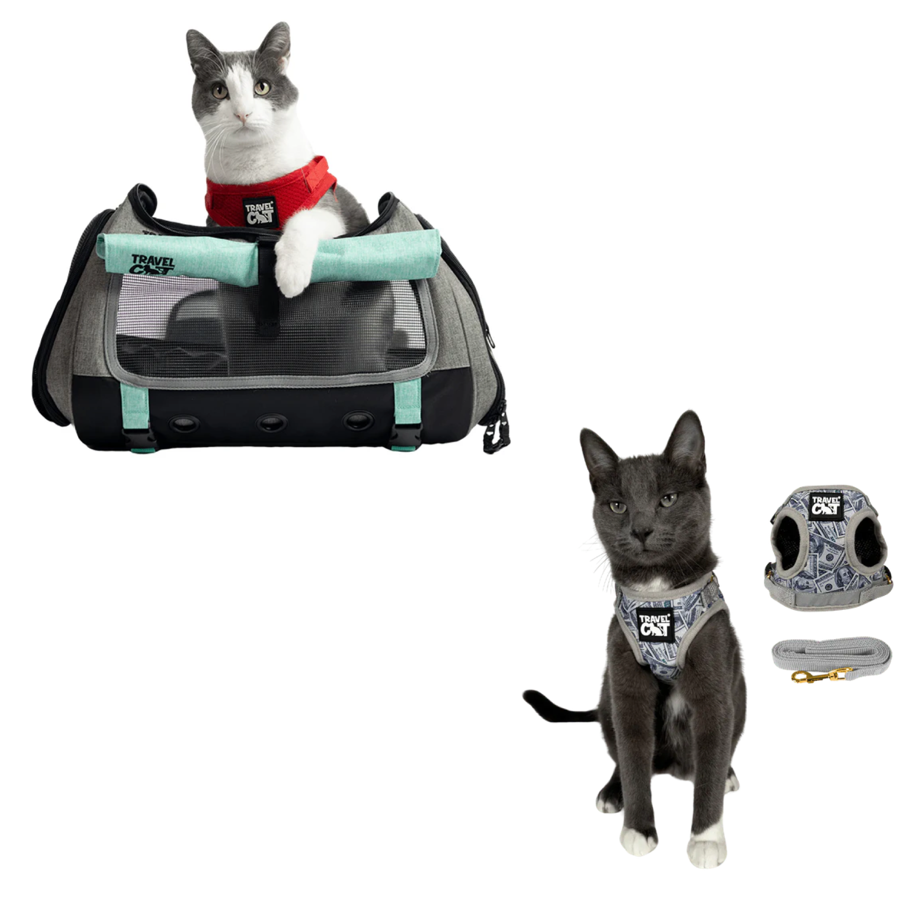 Build Your Own Cat Backpack and Harness Bundle