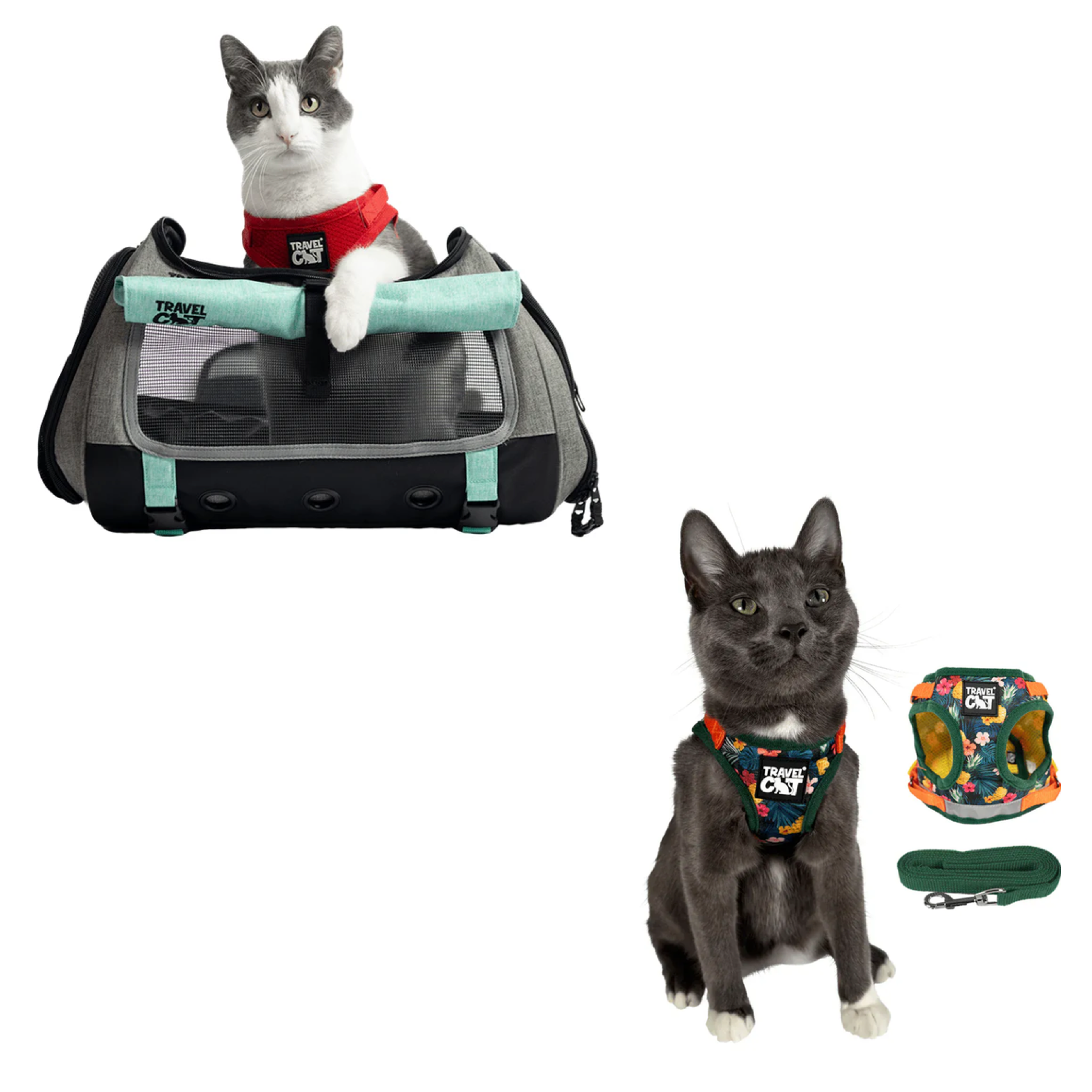 Build Your Own Cat Backpack and Harness Bundle