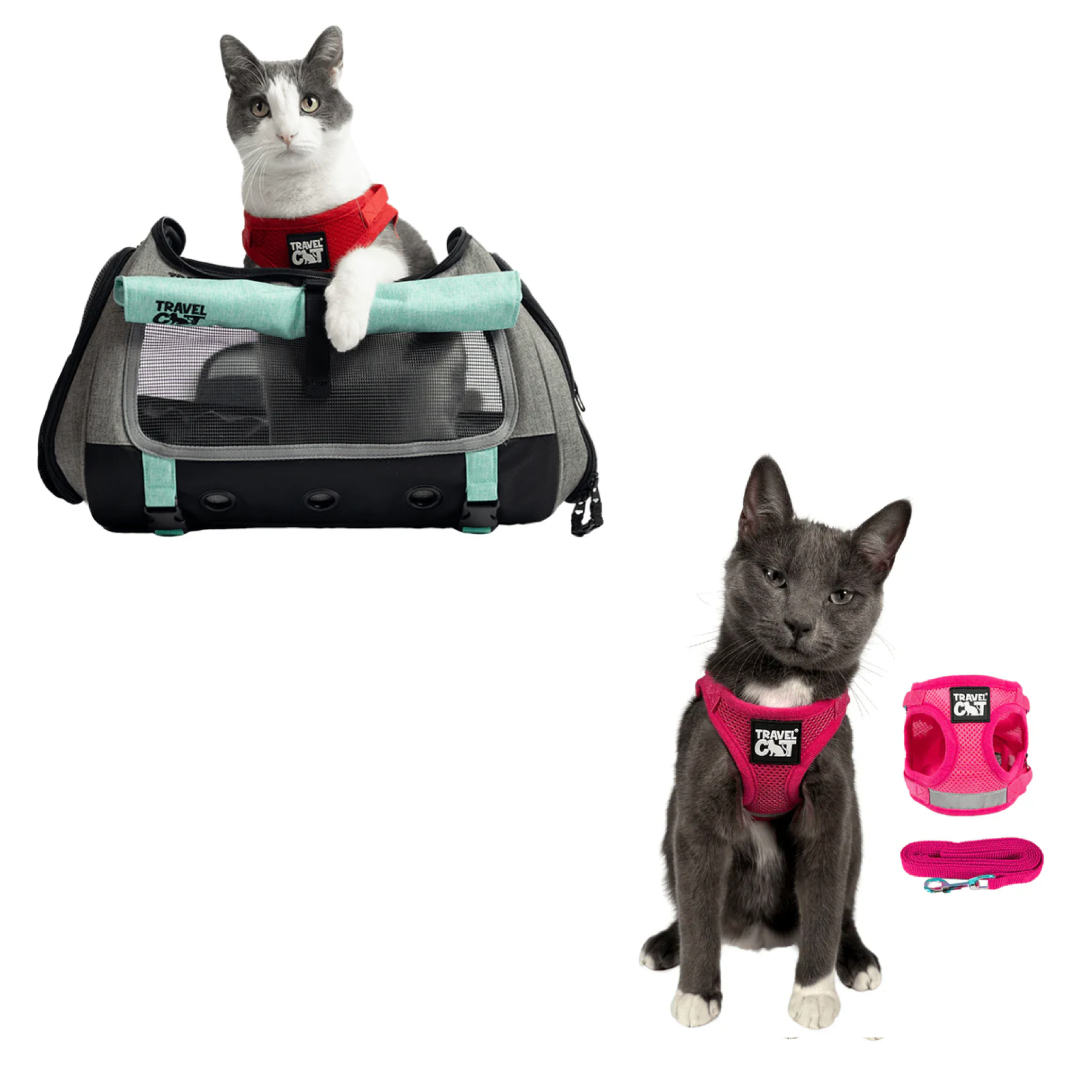 Build Your Own Cat Backpack and Harness Bundle